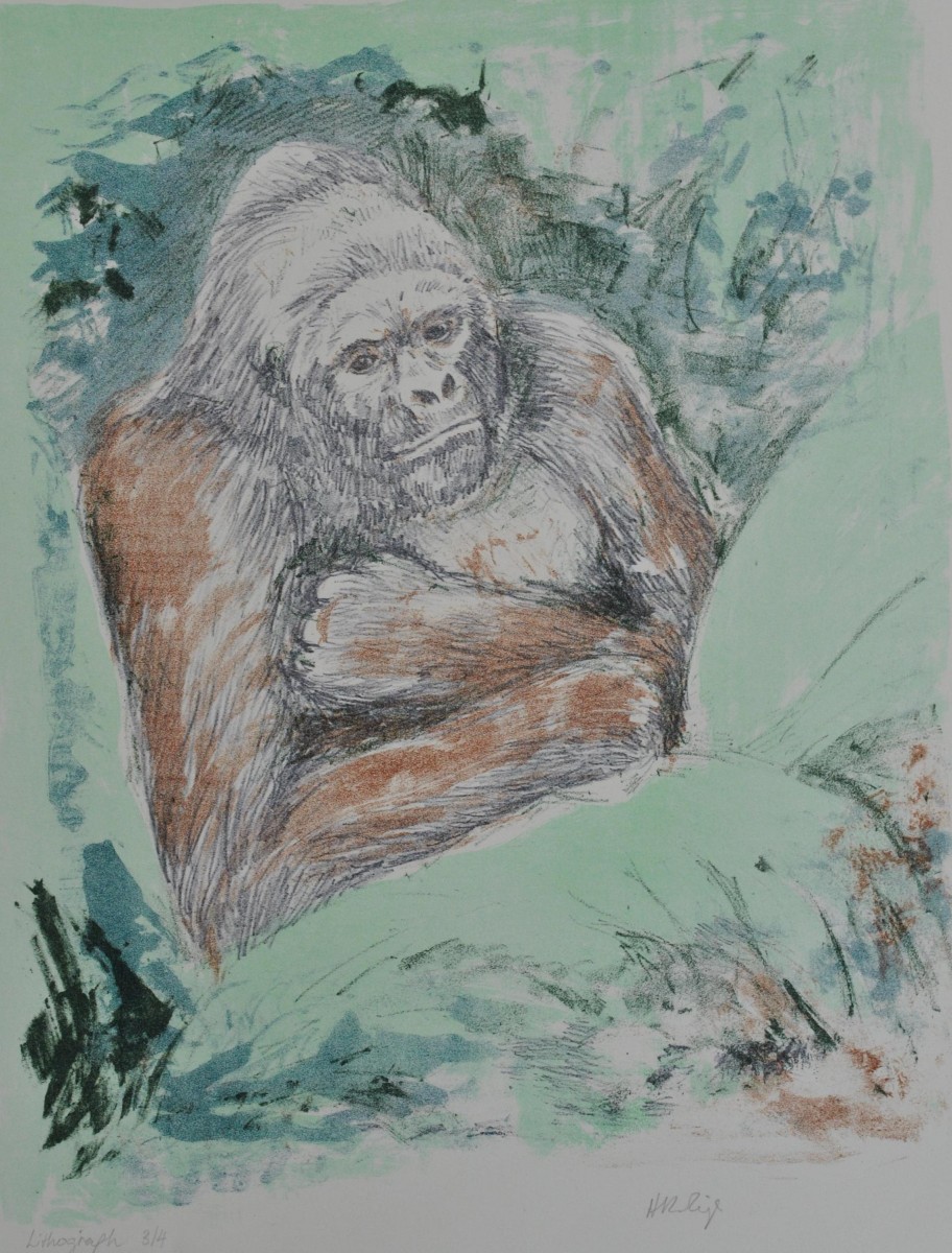 Gorilla